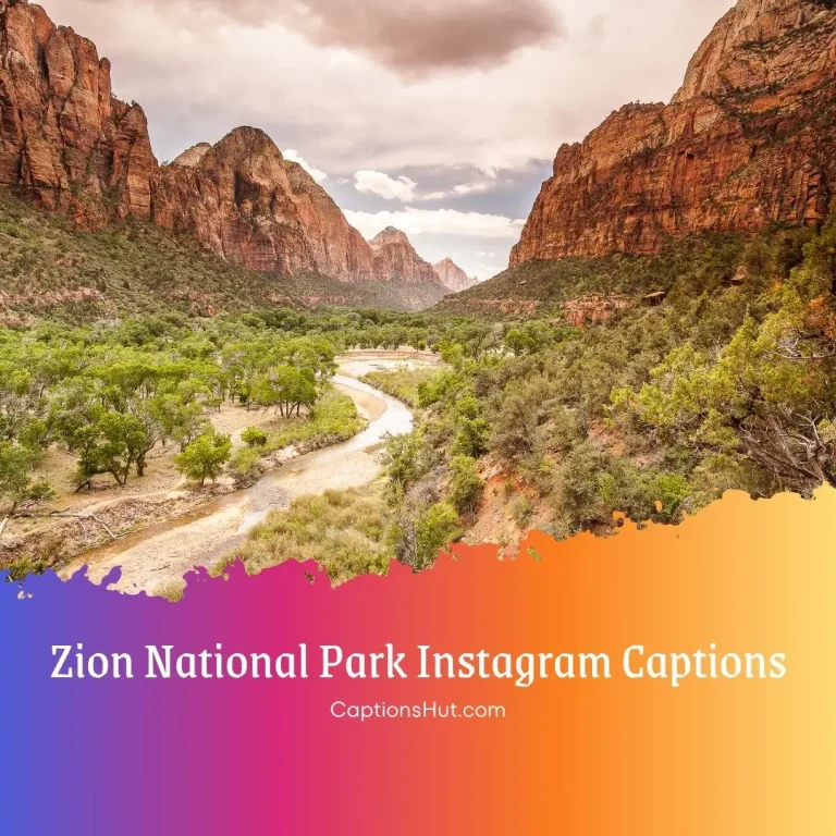150+ Zion National Park Instagram Captions With Emojis, Copy- Paste