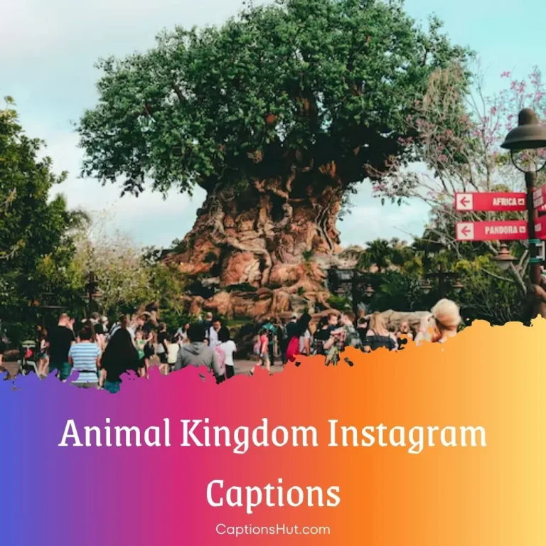 200+ Animal Kingdom Captions & Quotes For Instagram With Emojis