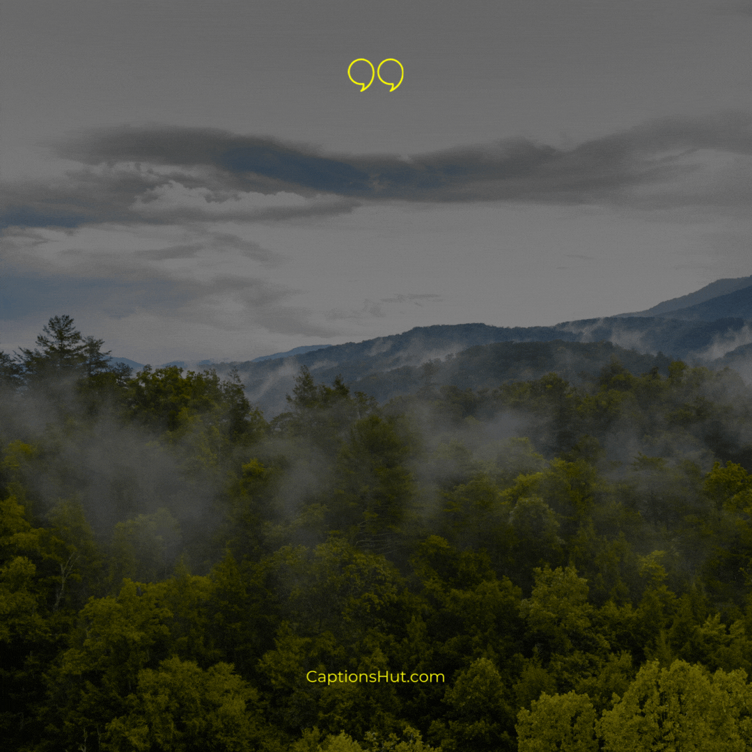 Feelin’ smoky in these Smoky Mountains!