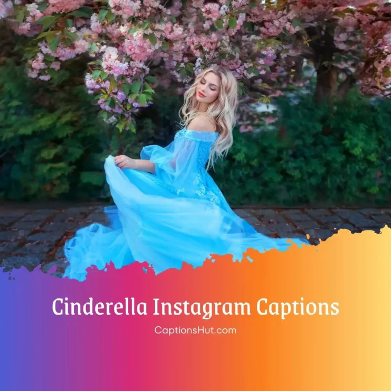 200+ Cinderella Quotes & Captions For Instagram With Emojis