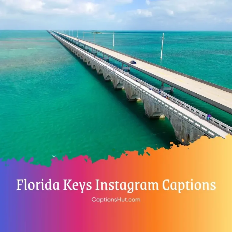 175+ Florida keys Instagram captions with emoji, Copy-Paste