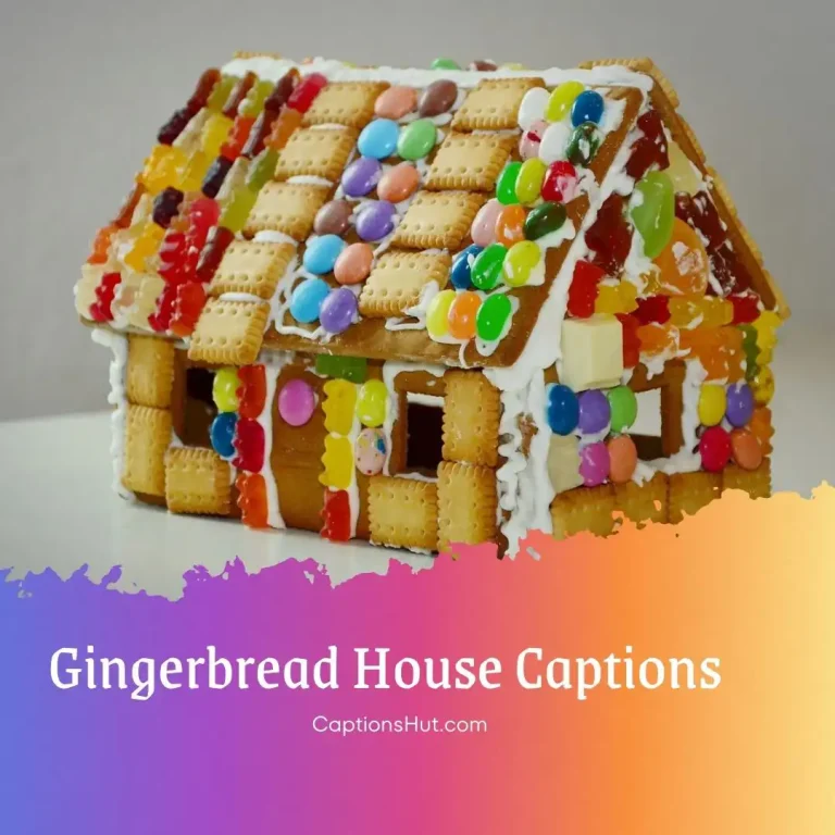 250+ Gingerbread House Instagram Captions