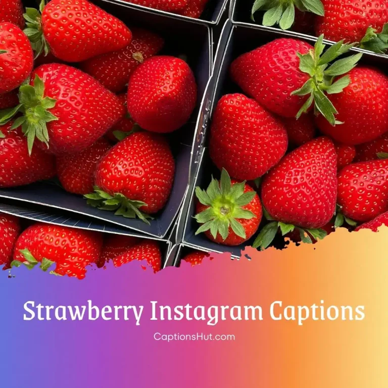 150+ Strawberry Instagram Captions With Emojis