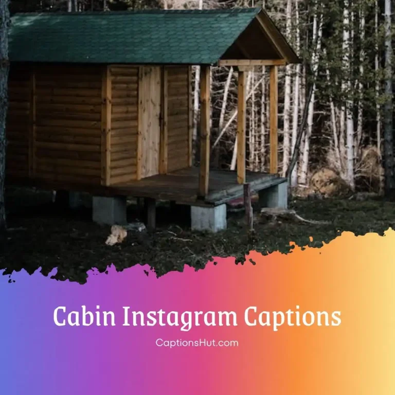 220+ Cabin Instagram Captions, Copy-Paste