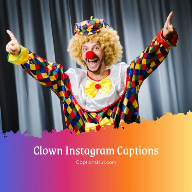 250+ Clown Instagram Captions Copy Paste