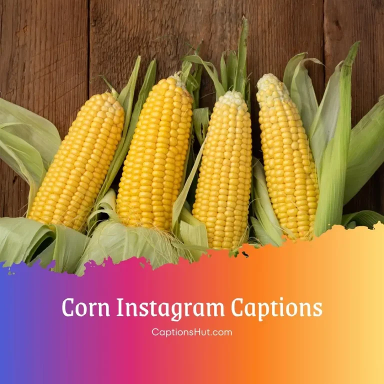 150+ Corn Instagram Captions With Emojis, Copy-Paste