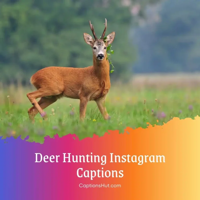 140 Deer Hunting Instagram Captions Copy Paste