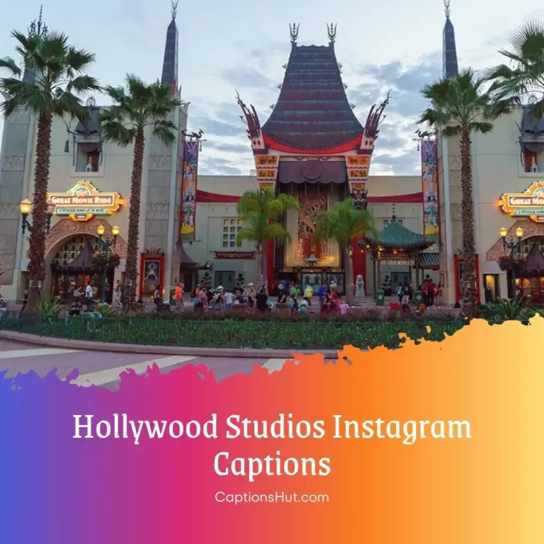 200+ Hollywood Studios Instagram Captions