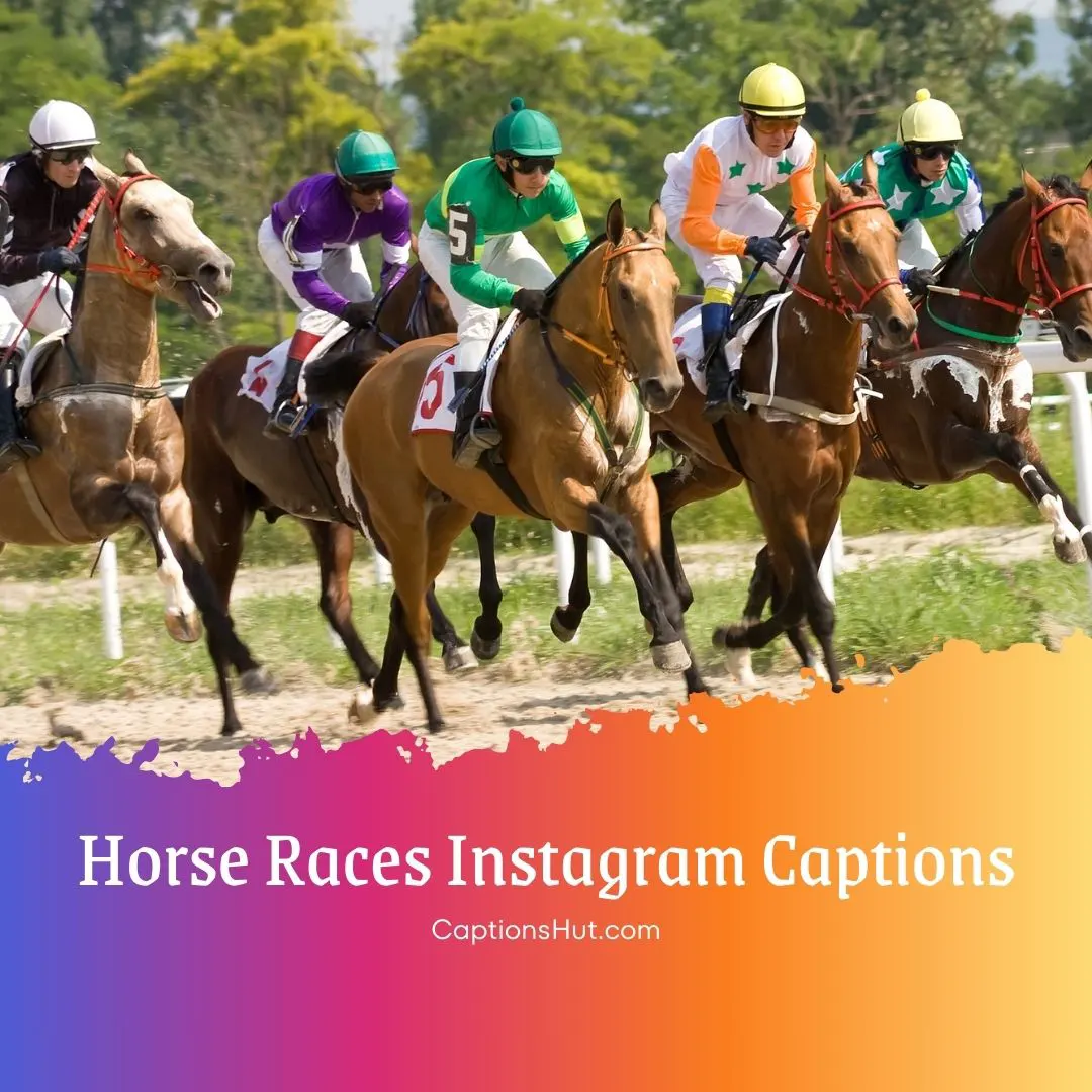 200-horse-racing-captions-for-instagram-with-emojis