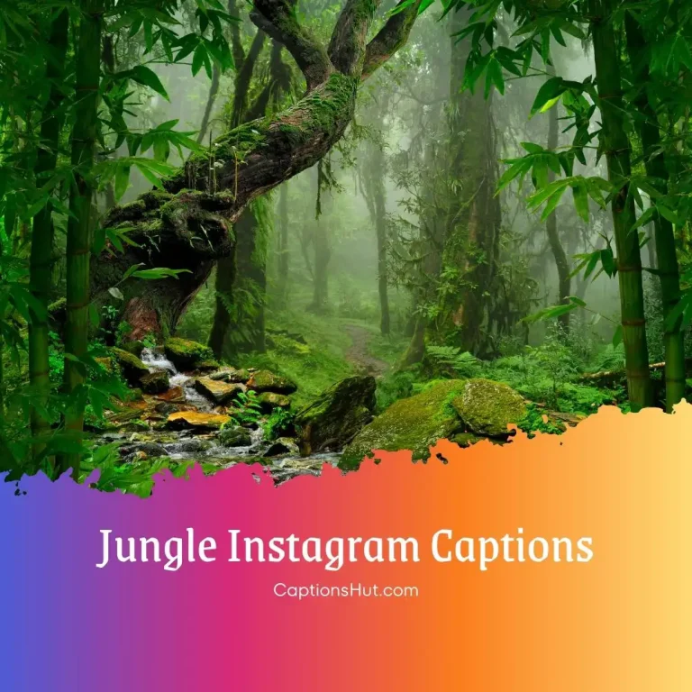 150+ Jungle Captions For Instagram With Emojis, Copy-Paste