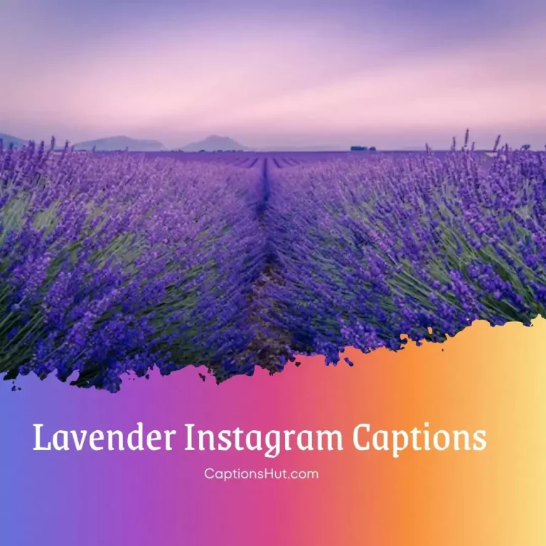 250+ Lavender Instagram Captions & quotes With Emojis