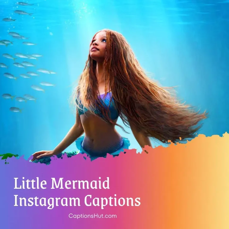 250+ Little Mermaid Instagram Captions