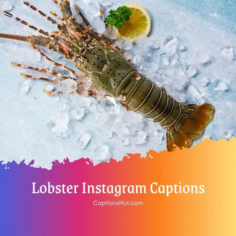 150+ Lobster Instagram Captions With Emoji, Copy-Paste