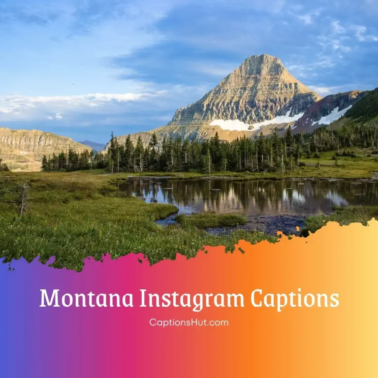 170+ Montana Instagram Captions With Emojis