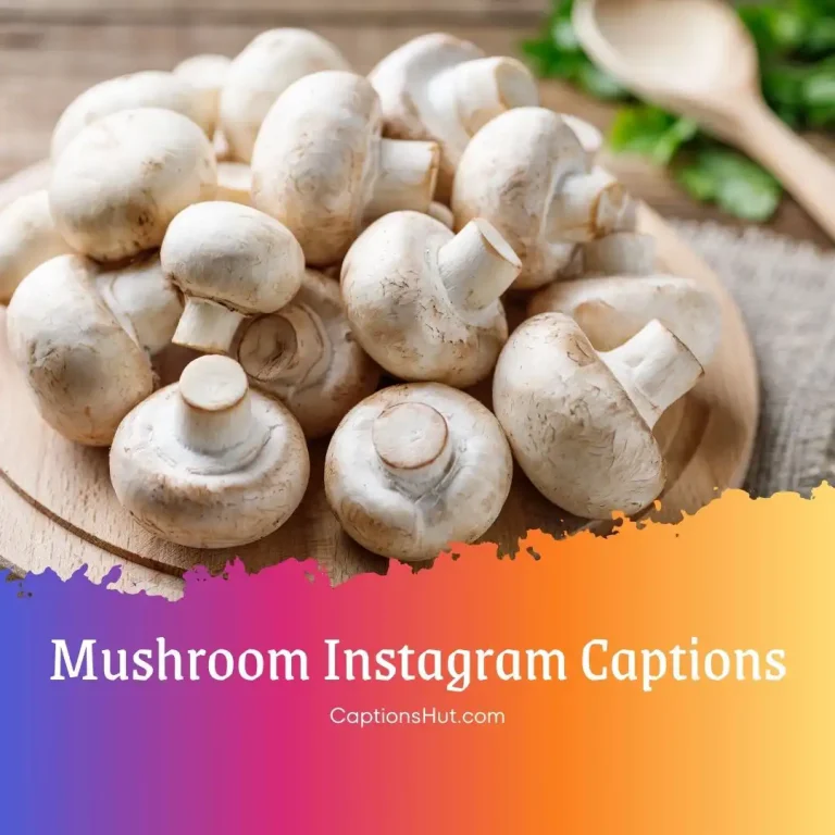 150+ Mushroom Instagram Captions With Emojis