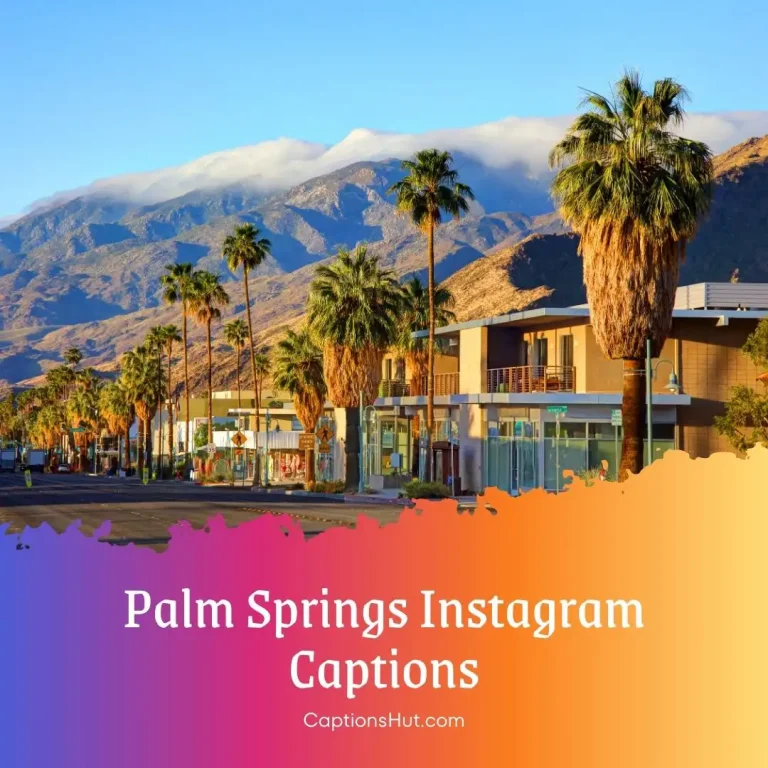 150+ Palm Springs Instagram Captions With Emojis, Copy-Paste