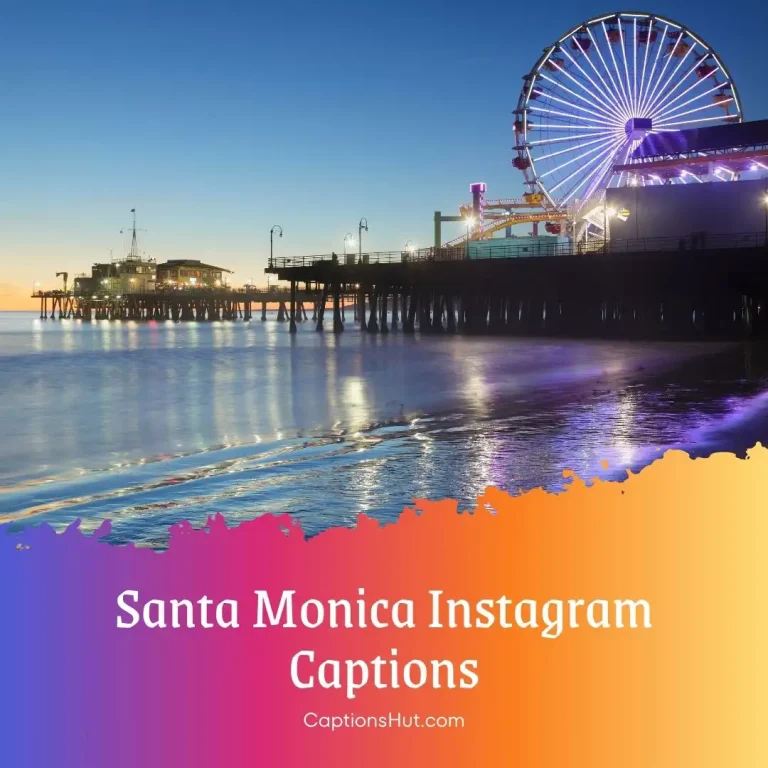 160+ Santa Monica Instagram Captions, Copy-Paste
