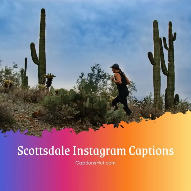 150+ Scottsdale Instagram Captions With Emojis