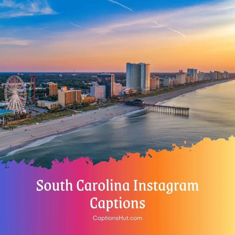 150+ South Carolina Instagram Captions Copy Paste