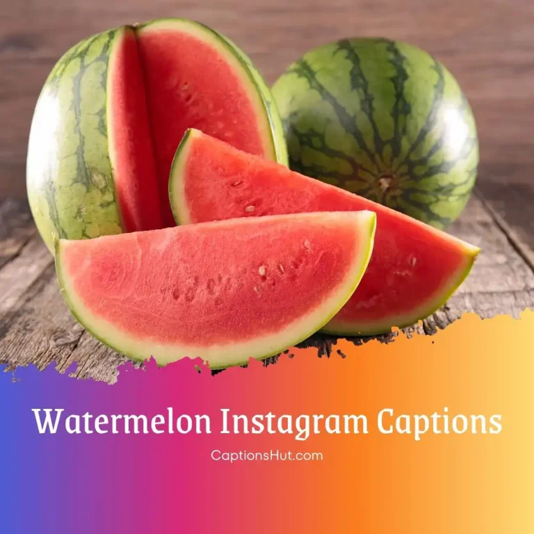 150+ Watermelon Instagram Captions With Emojis