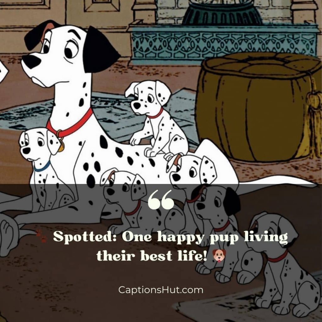 101 Dalmatians Instagram Captions image 1