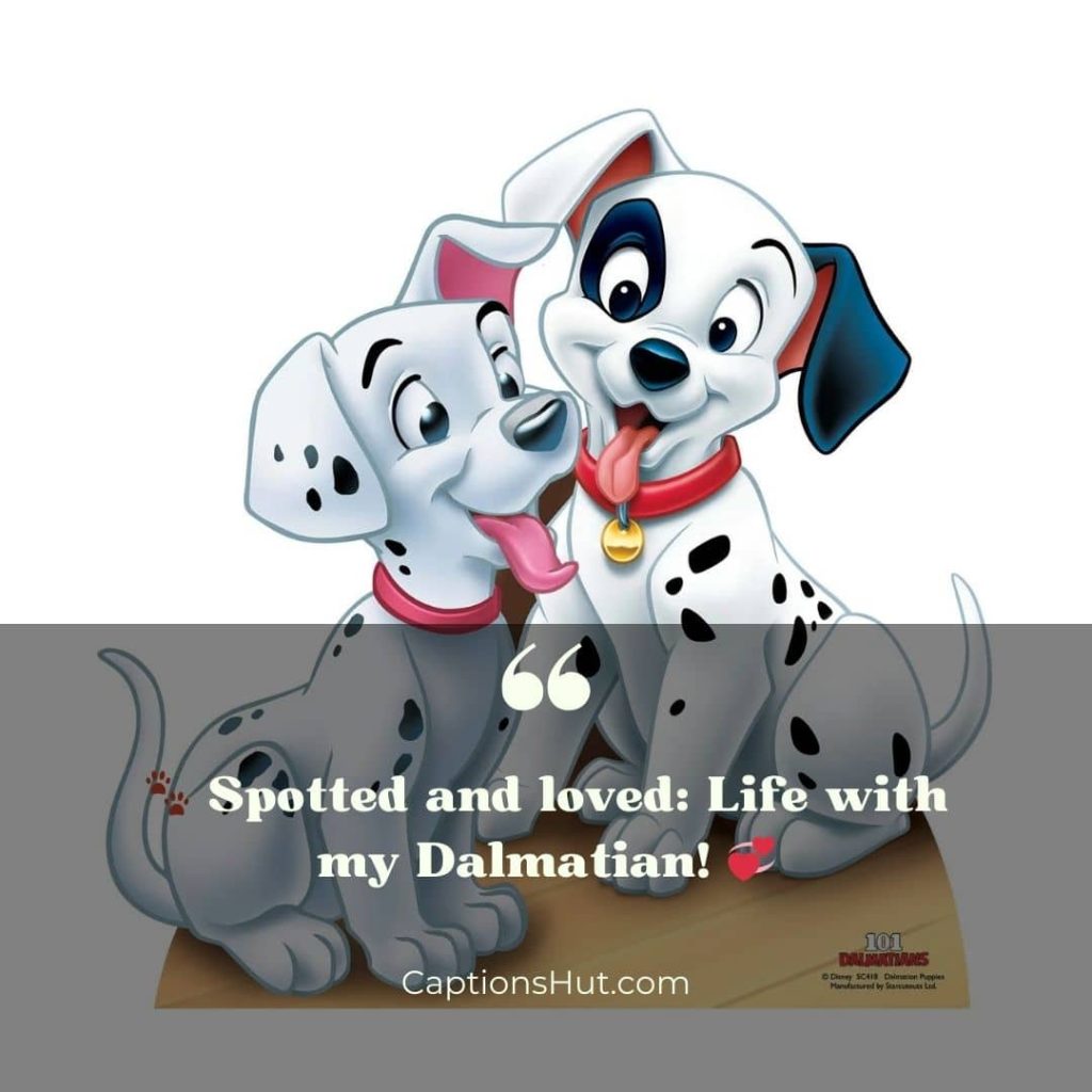 101 Dalmatians Instagram Captions image 4