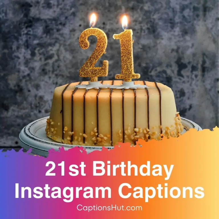 21st birthday Instagram captions with emojis, Copy-Paste