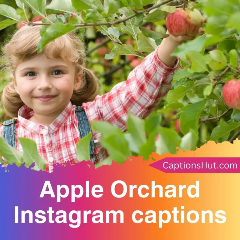 270+ Apple Orchard Instagram captions with emojis, Copy-Paste