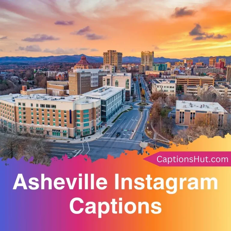 101 Asheville Instagram Captions with Emojis, Copy-Paste