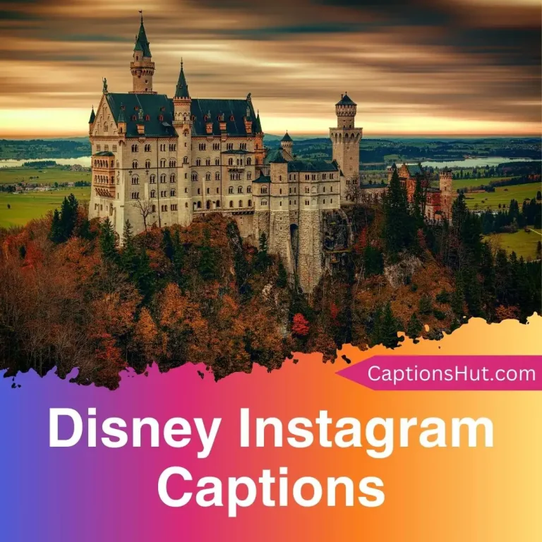 310+ Disney Instagram captions with emojis, Copy-Paste