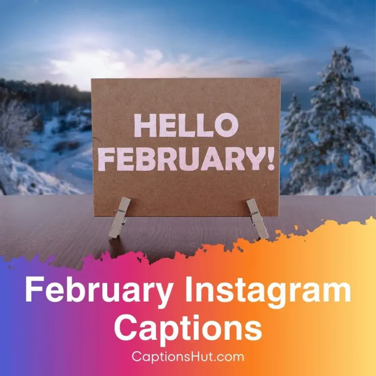 180+ February Instagram captions with emojis, Copy-Paste