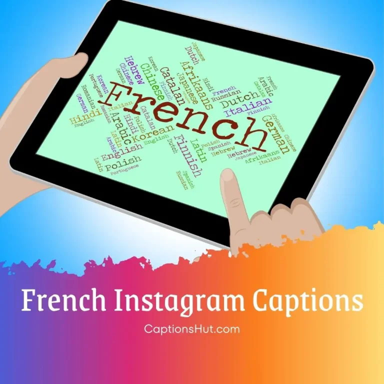 210+ French Instagram captions with English Meanings, Copy-Paste