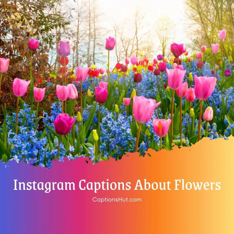 250+ Flower Captions For Instagram With Emojis, Copy-Paste
