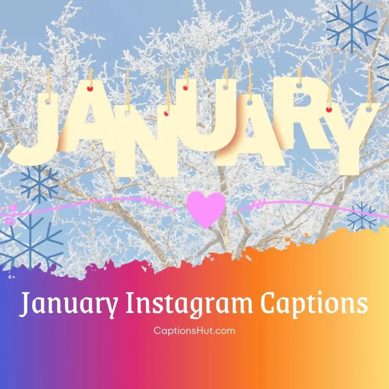225+ January Instagram captions with emojis, Copy-Paste