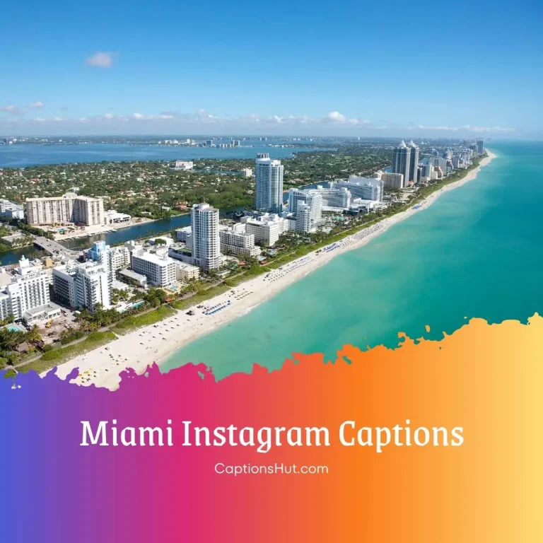 275+ Miami Instagram captions with emojis, Copy-Paste