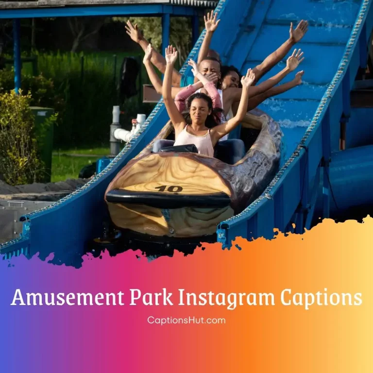 150+ Amusement Park Instagram Captions With Emojis