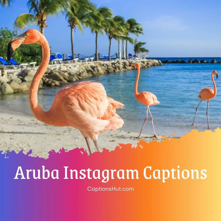 200+ Aruba Instagram Captions With Emojis, Copy-Paste