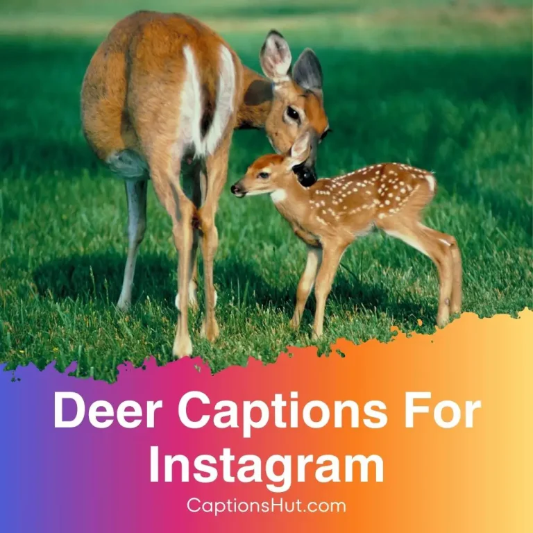 180+ deer captions for Instagram with emojis, Copy-Paste