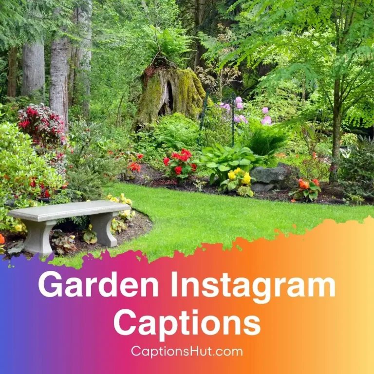 200+ garden Instagram captions with emojis, Copy-Paste
