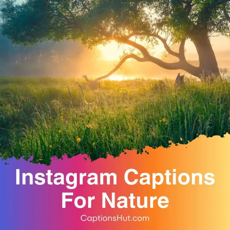270+ Instagram captions for nature with emojis, Copy-Paste
