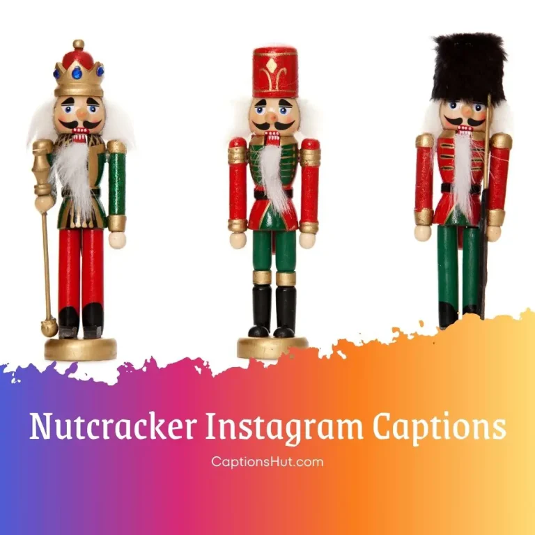 170+ nutcracker Instagram captions with emojis, Copy-Paste