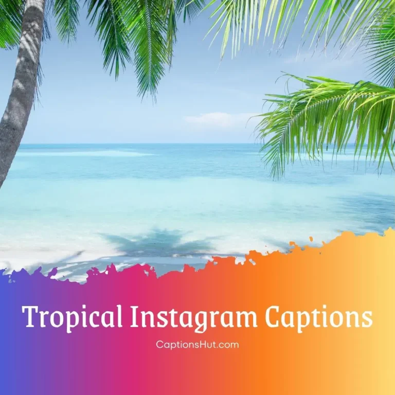 180+ tropical Instagram captions with emojis, Copy-Paste