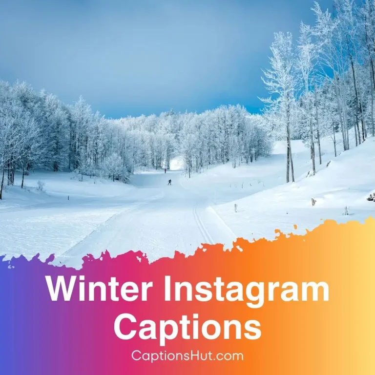 280+ winter Instagram captions with emojis, Copy-Paste