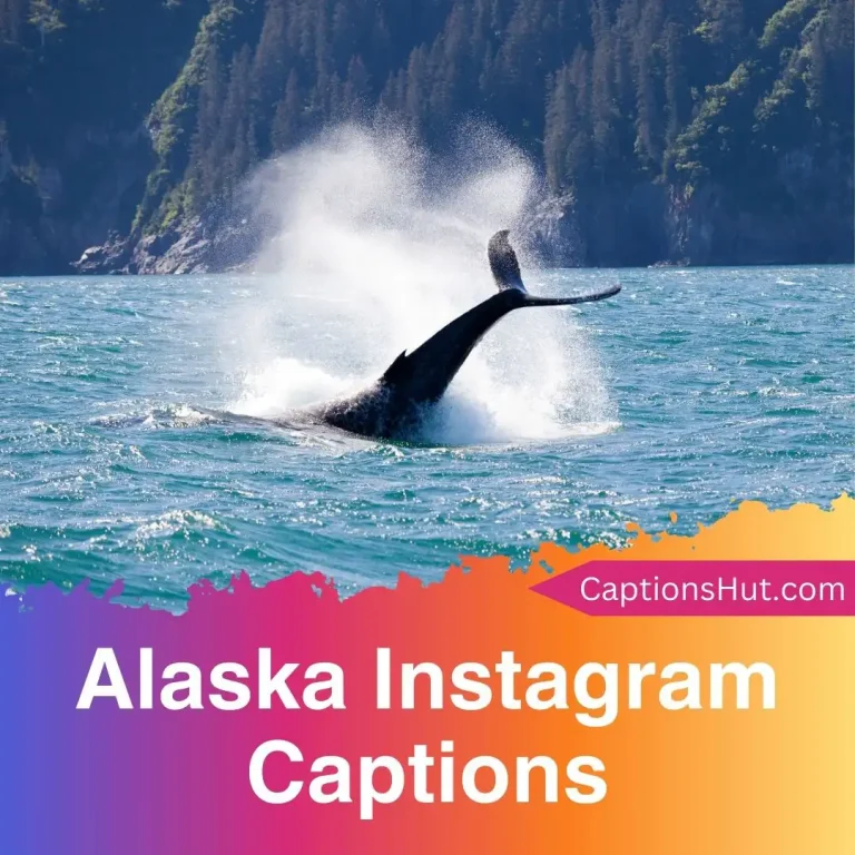 200+ Alaska Instagram Captions Emojis, Copy-Paste