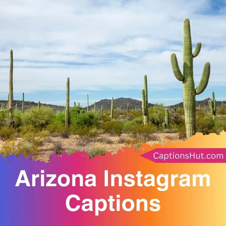 200+ Arizona Instagram Captions With Emojis, Copy-Paste