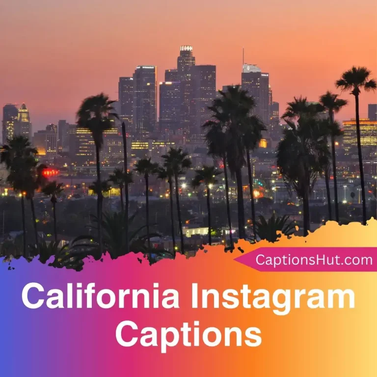 150+ California Instagram Captions With Emojis, Copy-Paste