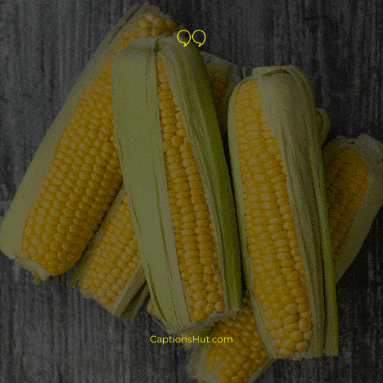 Corn Instagram Captions image 3