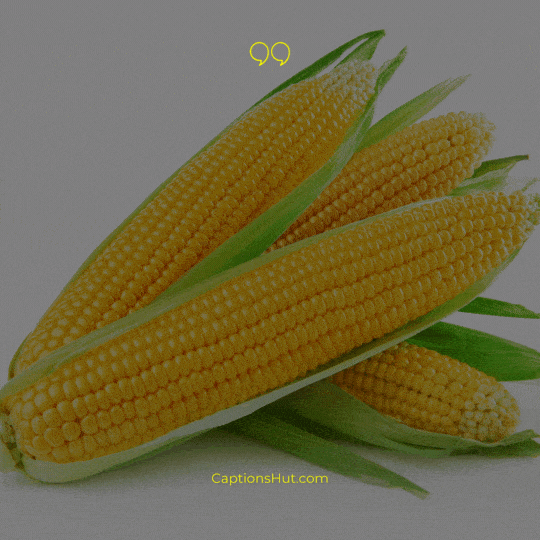 Corn Instagram Captions image 6