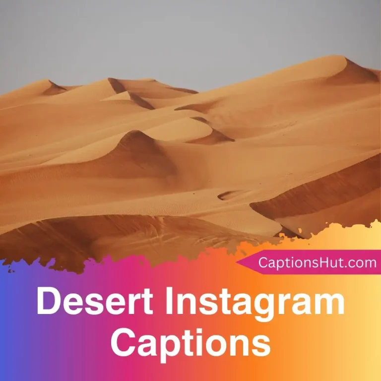 190+ desert Instagram captions with emojis, Copy-Paste