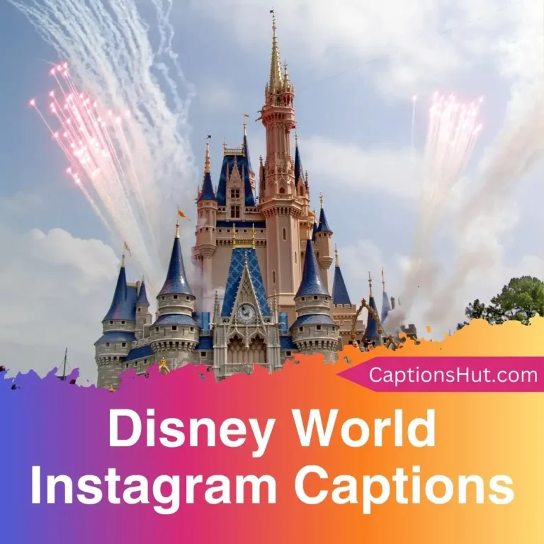 250+ Disney World Instagram captions with emojis, Copy-Paste